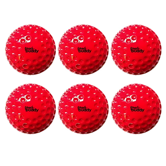 Feed Buddy Balls (pack of 6)
